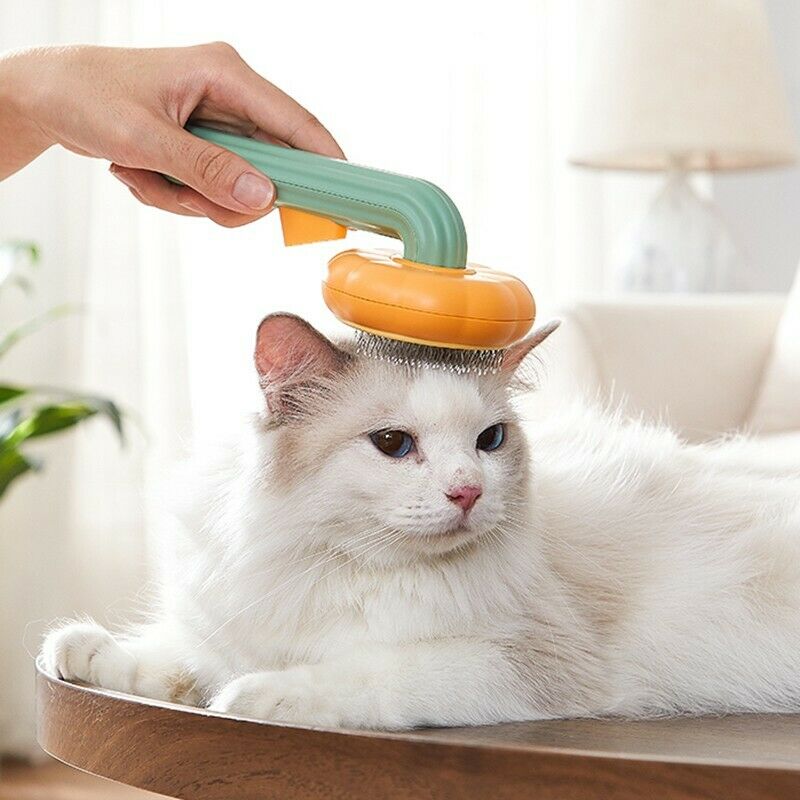 Pet Pumpkin Self‑Cleaning Slicker Brush
