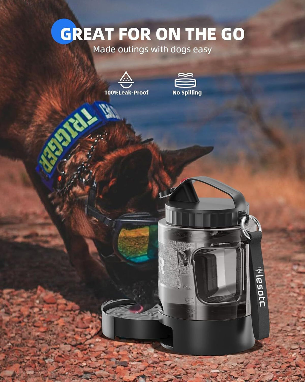 Portable Pull‑Out Dog Water Bowl for Outdoor Adventures