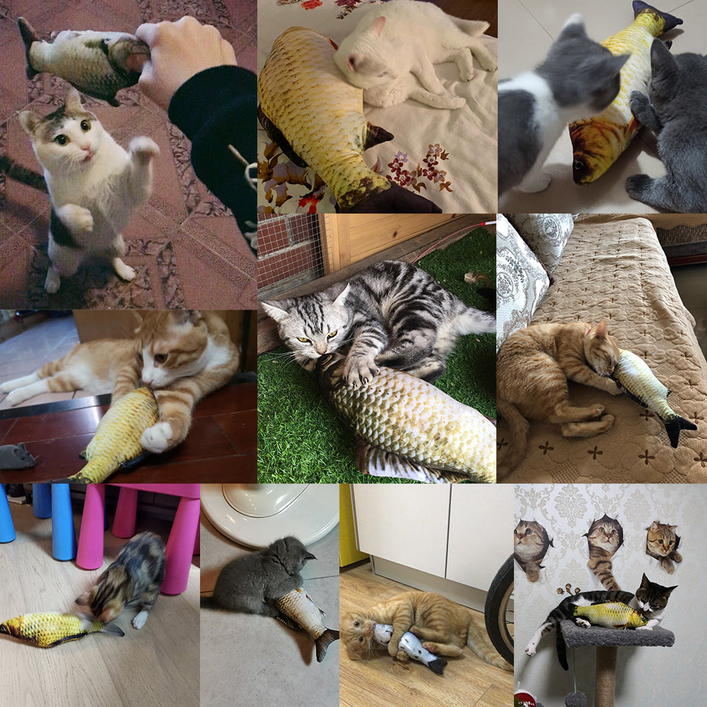 Electric Jumping Fish Toy (No Catnip)