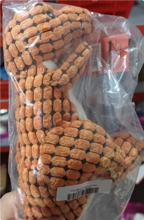 Dinosaur Plush Dog Toy with Squeaker