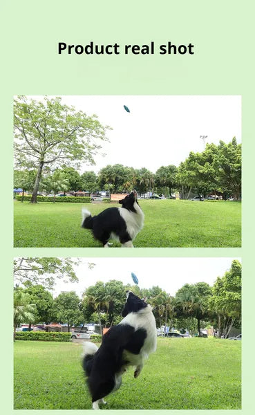 Pet Corn Chew Stick For Dogs, Food-Grade Silicone Teething Toy