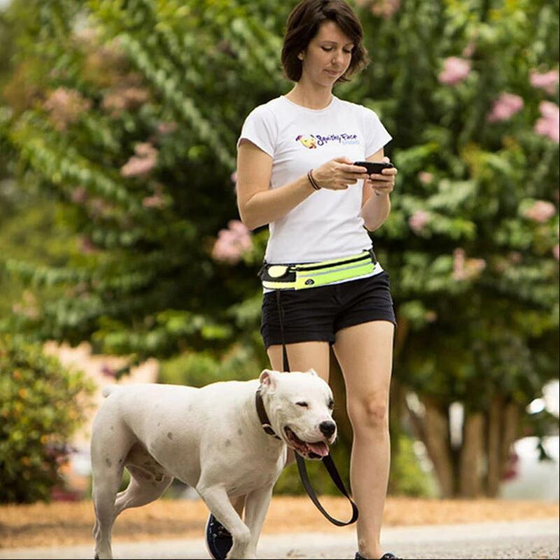 Hands‑Free Dog Walking Belt with Bungee Leash