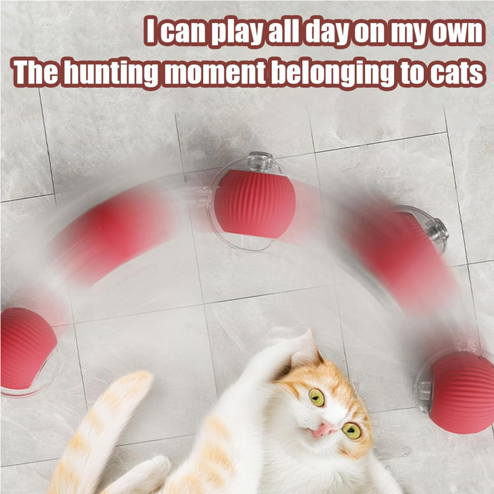 Interactive Rolling Cat Ball