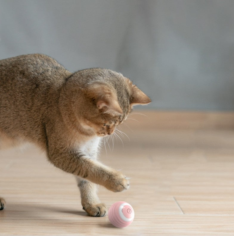 Automatic Moving Cat Toy Ball