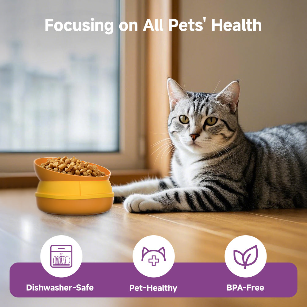 5‑in‑1 Multi‑Layer Pet Bowl Set with Hamburger Design