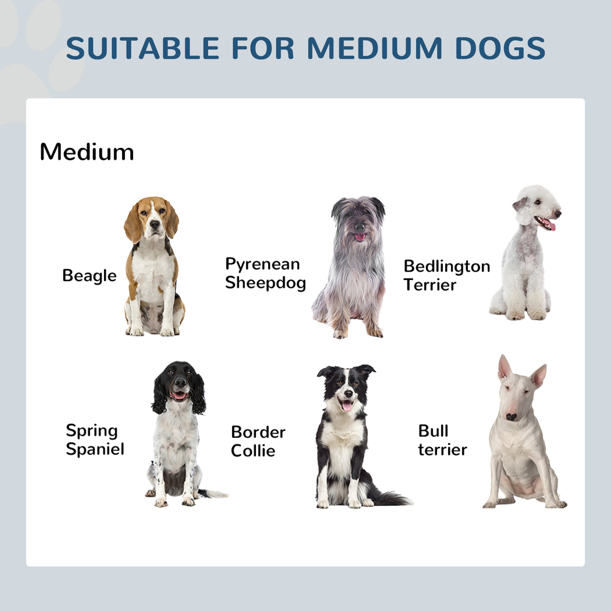 17″ Heavy‑Duty Elevated Dog Feeding Station with Double Stainless Bowls