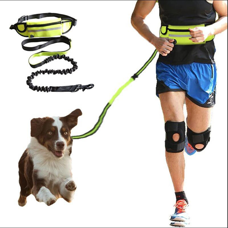 Hands‑Free Dog Walking Belt with Bungee Leash