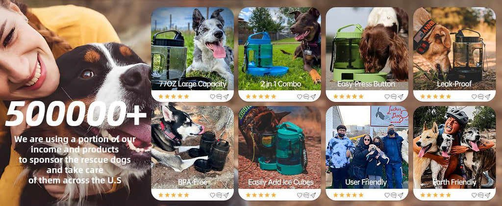 Portable Pull‑Out Dog Water Bowl for Outdoor Adventures