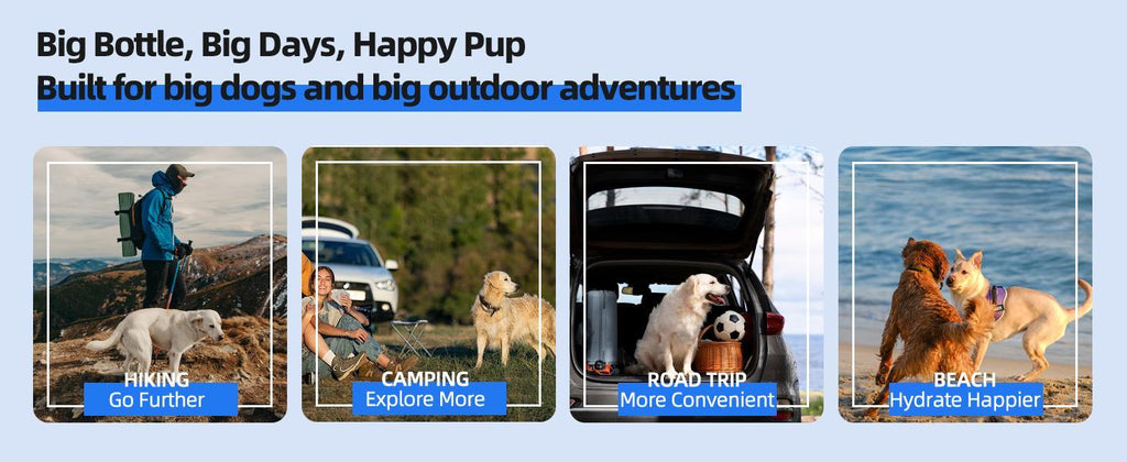 Portable Pull‑Out Dog Water Bowl for Outdoor Adventures