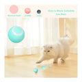 Interactive Rolling Cat Ball