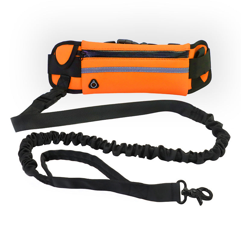Hands‑Free Dog Walking Belt with Bungee Leash
